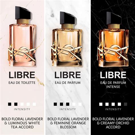 ysl libre perfume price comparison.